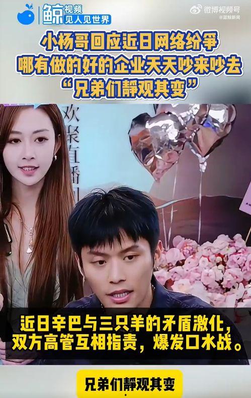 最新爆料视频三只羊,揭秘神秘视频背后的神奇现象